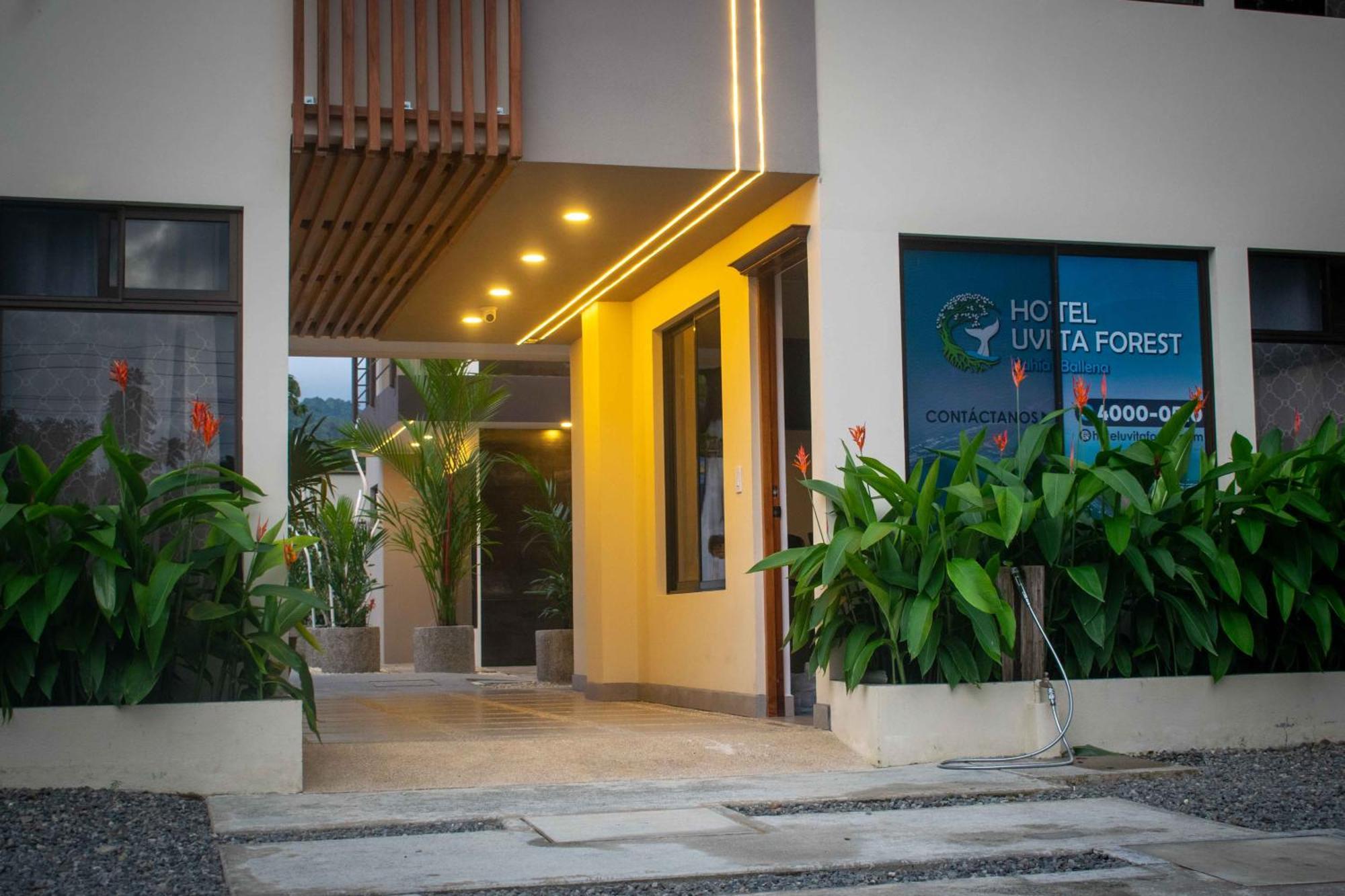 Hotel Uvita Forest Buitenkant foto